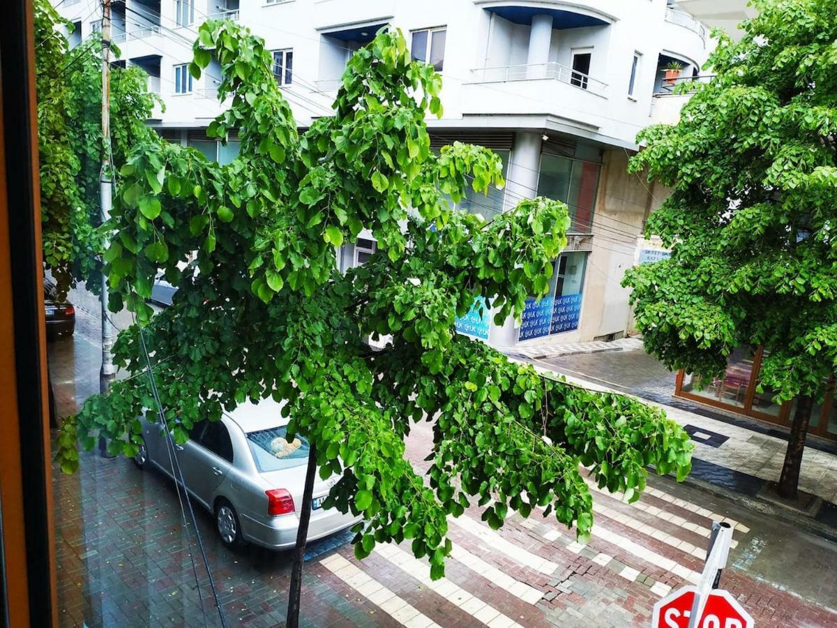 Lovely Apt At The Heart Of The City&Near The Lake Pogradec Kültér fotó