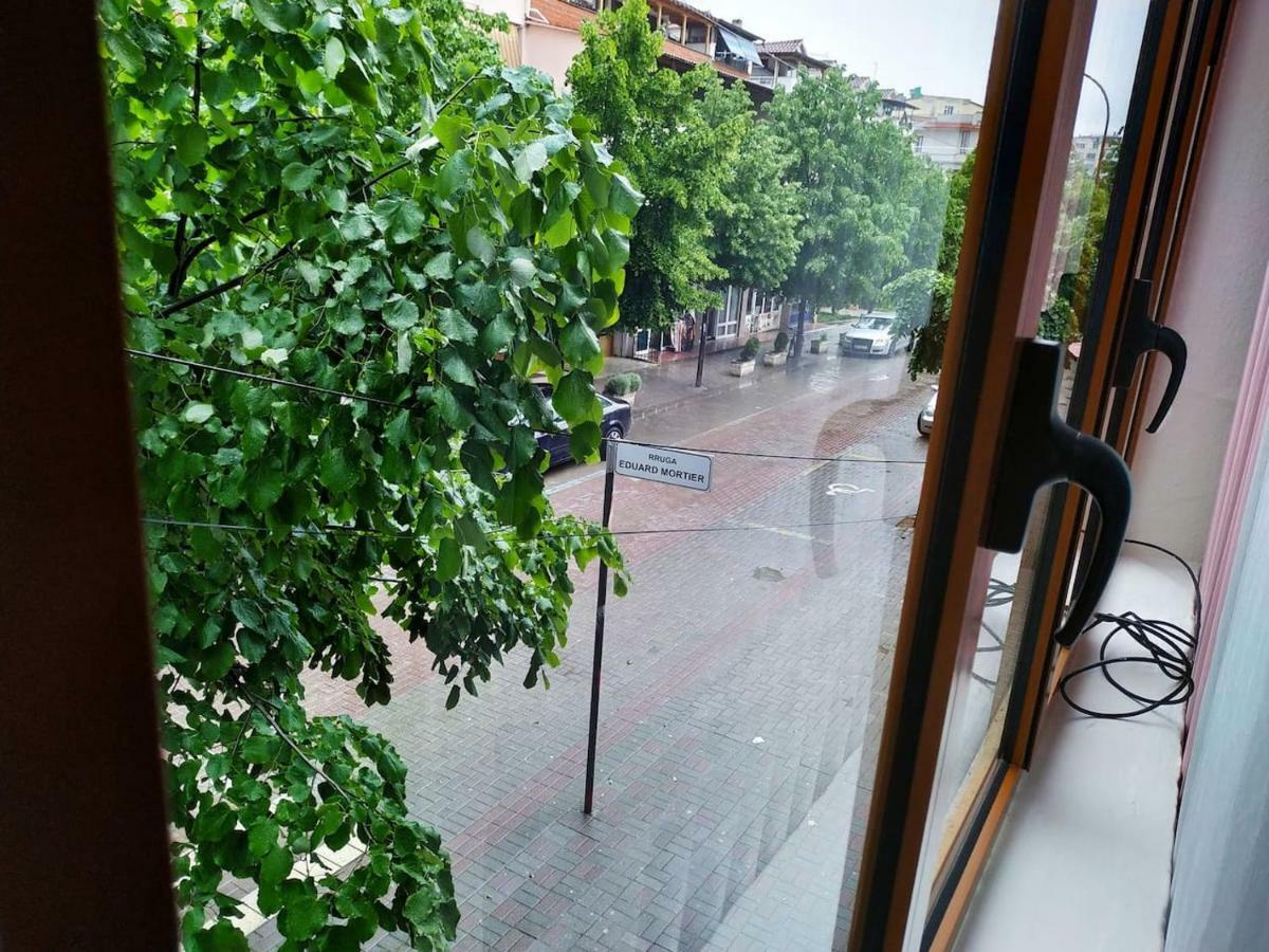 Lovely Apt At The Heart Of The City&Near The Lake Pogradec Kültér fotó